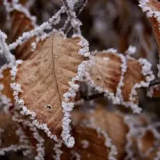 Новости о погоде – правда ли, что зима 2014-2015 будет самой холодной за последние 10 лет