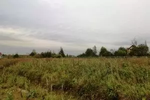 Гектар для инвестора