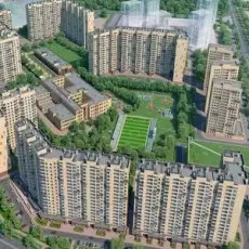 Продажи коммерческой недвижимости на объектах INGRAD выросли на 45%