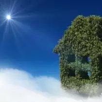 pic
