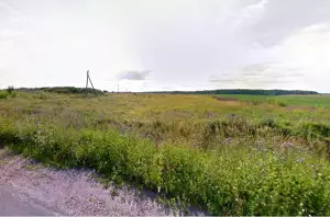 Купить поле земли 1 гектар спб, противопоказания для остеотомии хальгус вальгус и леруа мерлен совхоз имени ленина открытие Купить поле земли 1 гектар спб